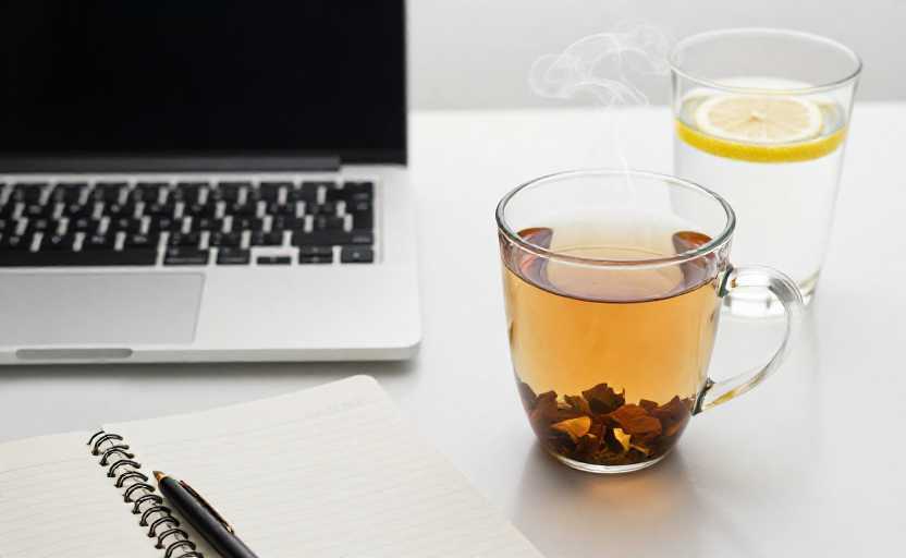 A complete collection of flexibility training methods